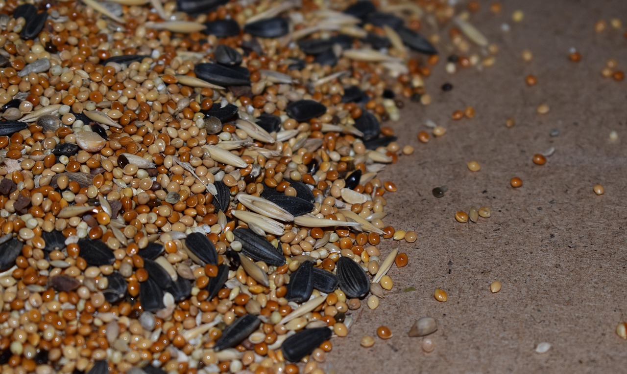Grain Products Offer